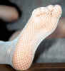 wfishnet2.jpg (7152 bytes)
