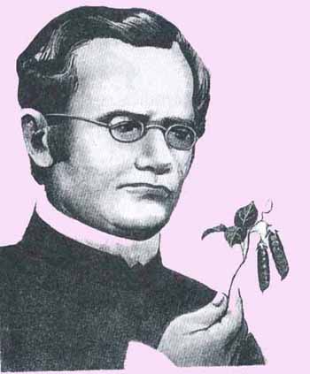 Gjmendel.jpg (24034 bytes)