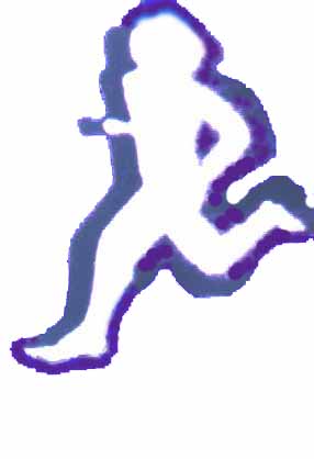 runner.jpg (15081 bytes)
