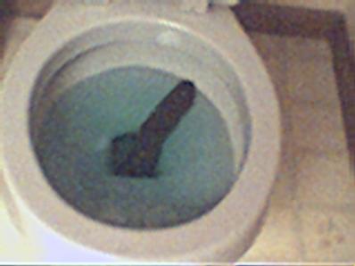 the almighty excremenThrone
