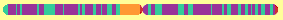 stylised chromosome