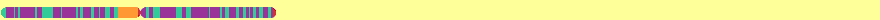 Hey - chromosomes don't really move like that!