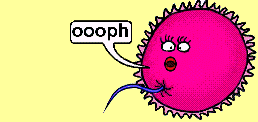conception!