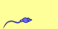 sammy sperm