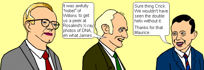 Cartoon of Wilkins, Crick and Watson.