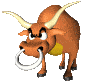 Back to Beef Menu