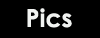 All the pictures