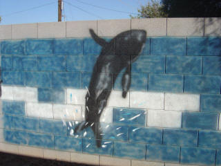 Whale