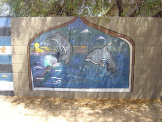 Dolphins