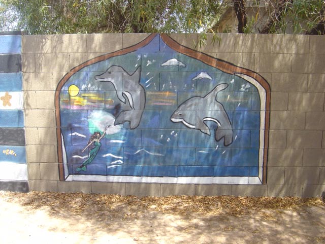 Dolphins