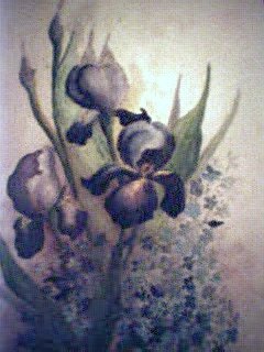 iris