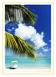 Income Opportunities