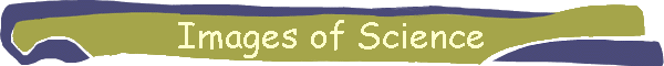 Images of Science