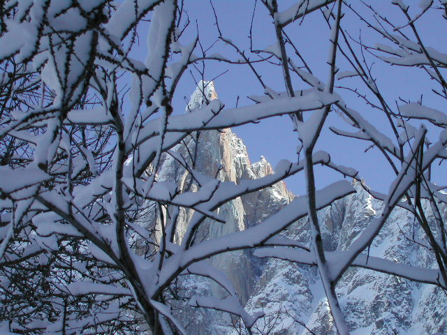 The Dru through snow-covered trees as seen from Montenvers