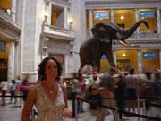 Natural History Museum