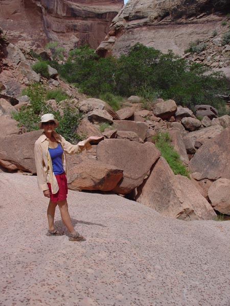 spotted rocks
