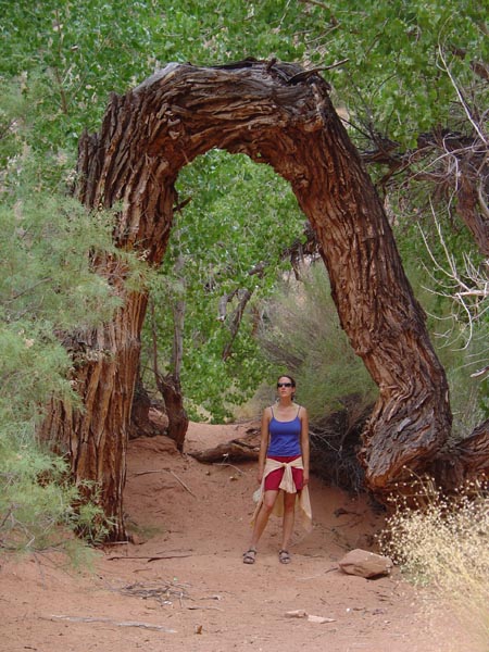 arch