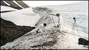 digging up