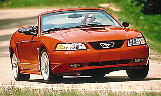 Ford chick