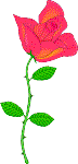 !!!!&nbsp; flowers only for the ladys&nbsp; !!!!