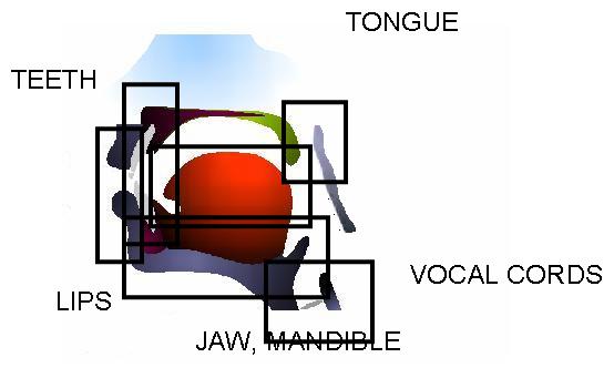 backvowels