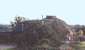 wilson dome