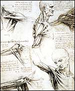 da vinci's notebook