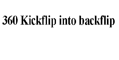 360flipbk.gif (8773 bytes)