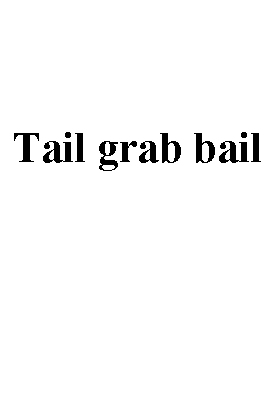 tailgrabbail.gif (5492 bytes)