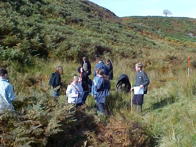 site 1