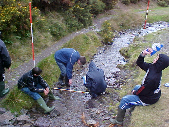 site 3