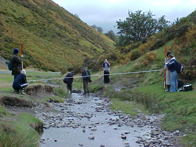 site 4 measuring width