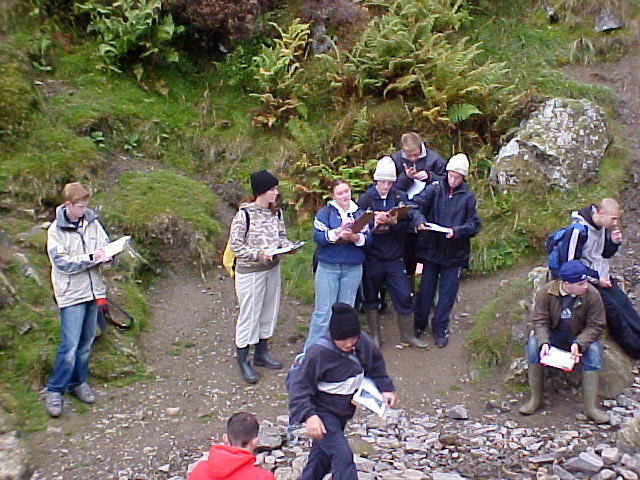 field sketching