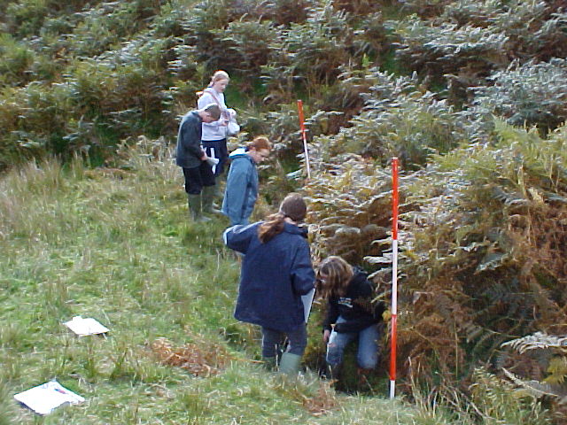 site 1