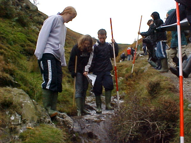 site 2