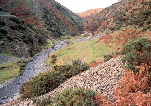 Ashes Hollow