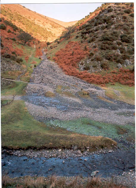 Ashes Hollow
