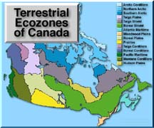 Learn about 
Canada's Ecozones