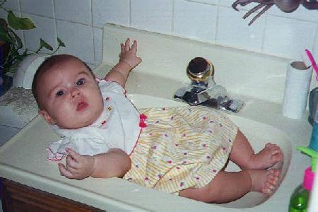 Savannah in the Sink