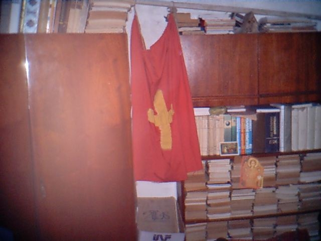 The Flag and the Library of Wolfhaus House