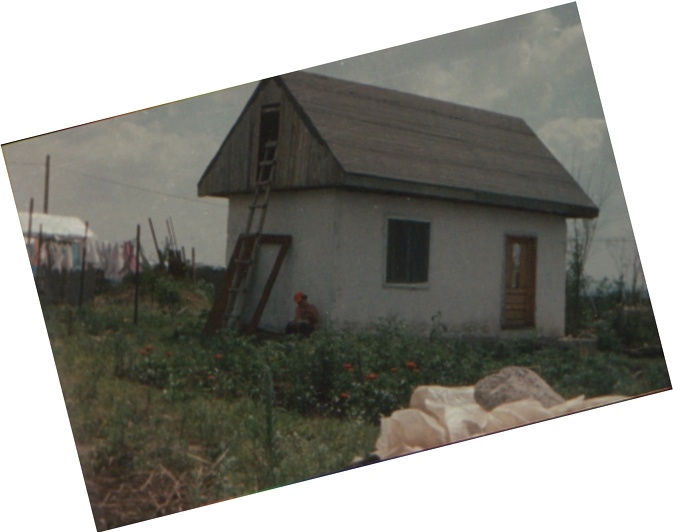 Wolfhaus House