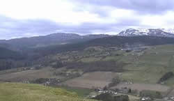 from the top of the cats back 