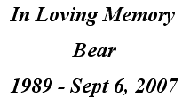 Bear memorium
