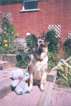 Tobra and her teddy.