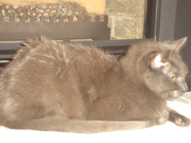 The newborn in front of fireplace