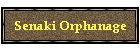 Senaki Orphanage