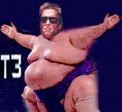 governor schwarzenegger