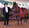 Corona mas Fina, Futurity winner