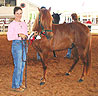 Domingo del Turista, 5th futurity winner Suzy and Ed Varner owners, Cindy Griffeth trainer 