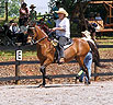 Chris and Zamora Angels on Horseback Demo